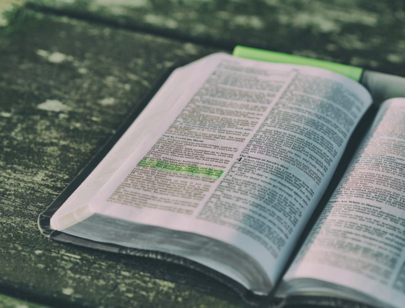 One Year Bible